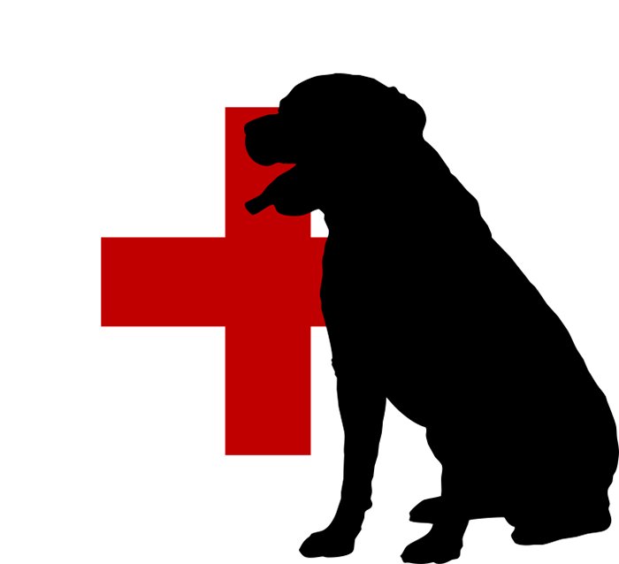 Disease Control Icon